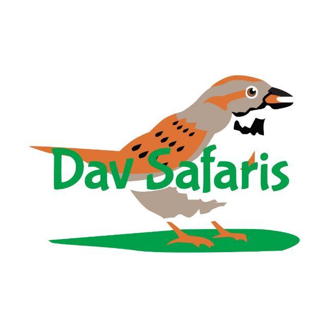 Dav  Safaris