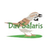 Wildlife tours in Uganda