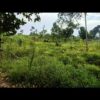 land for sale in Nyenje Mukono 100 by 50