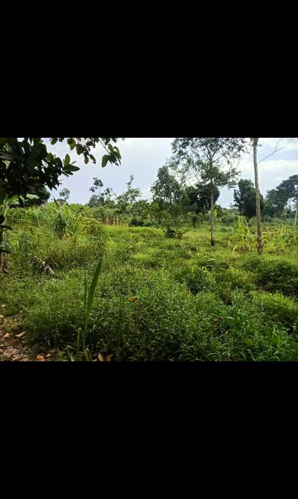 land for sale in Nyenje Mukono 100 by 50