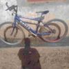Private: Corex bike German