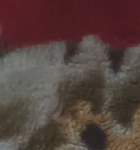 Used blanket