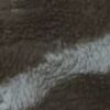 Used blanket