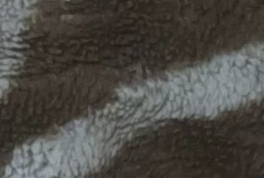 Used blanket