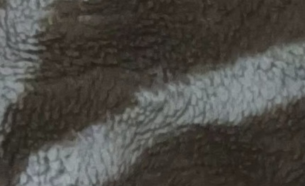 Used blanket