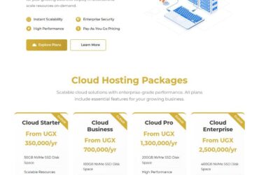 Splest Hosting – VIP High Performance Web Hosting in Uganda