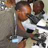 Charles Ssemwogerere